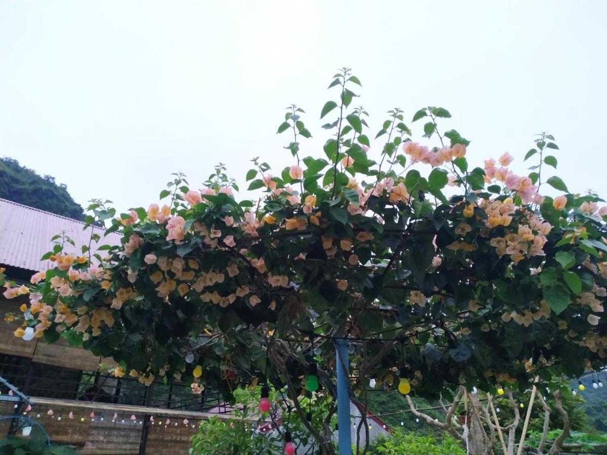 Xuan Dam Central Hills Cat Ba מראה חיצוני תמונה