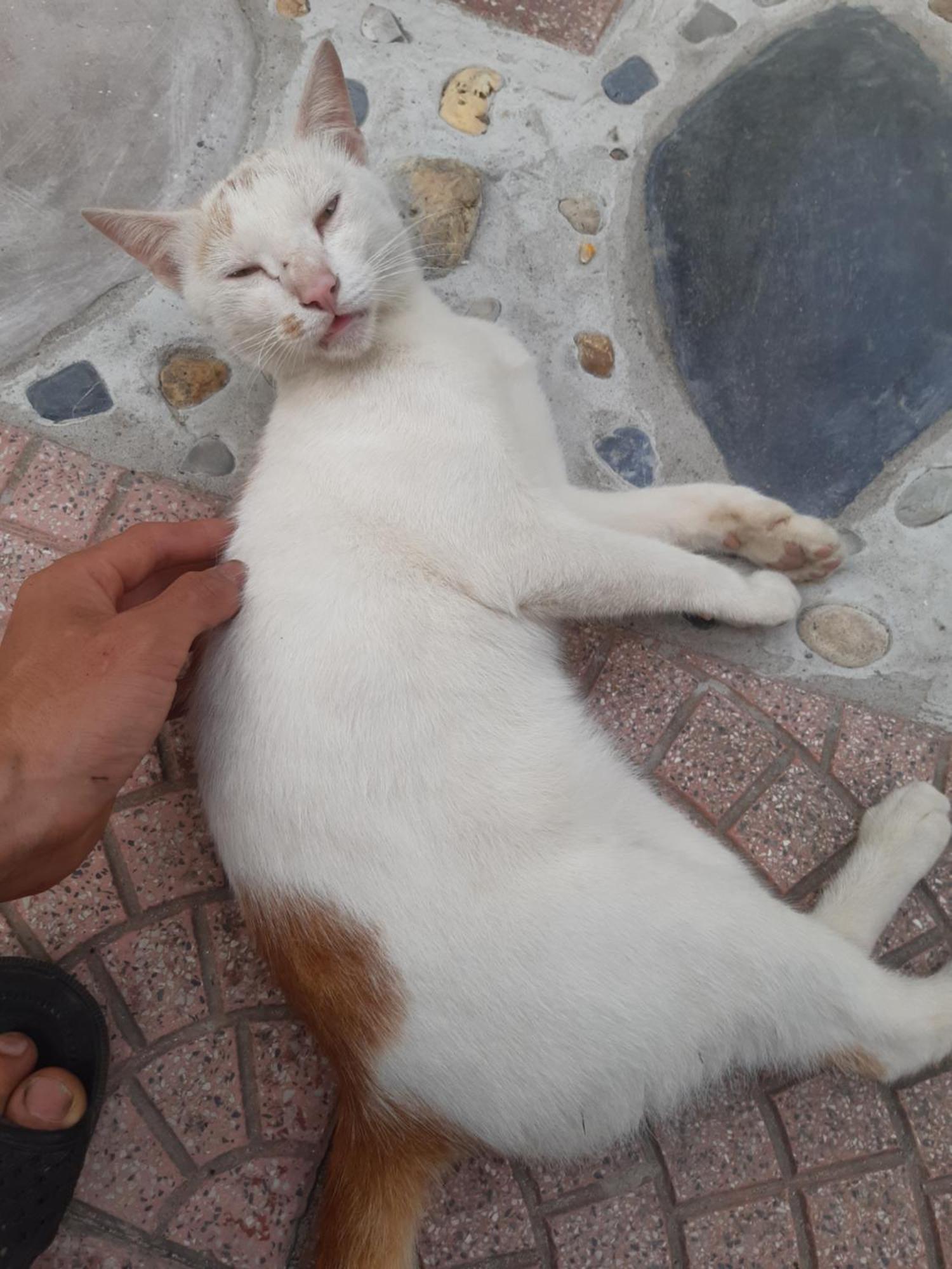 Xuan Dam Central Hills Cat Ba מראה חיצוני תמונה