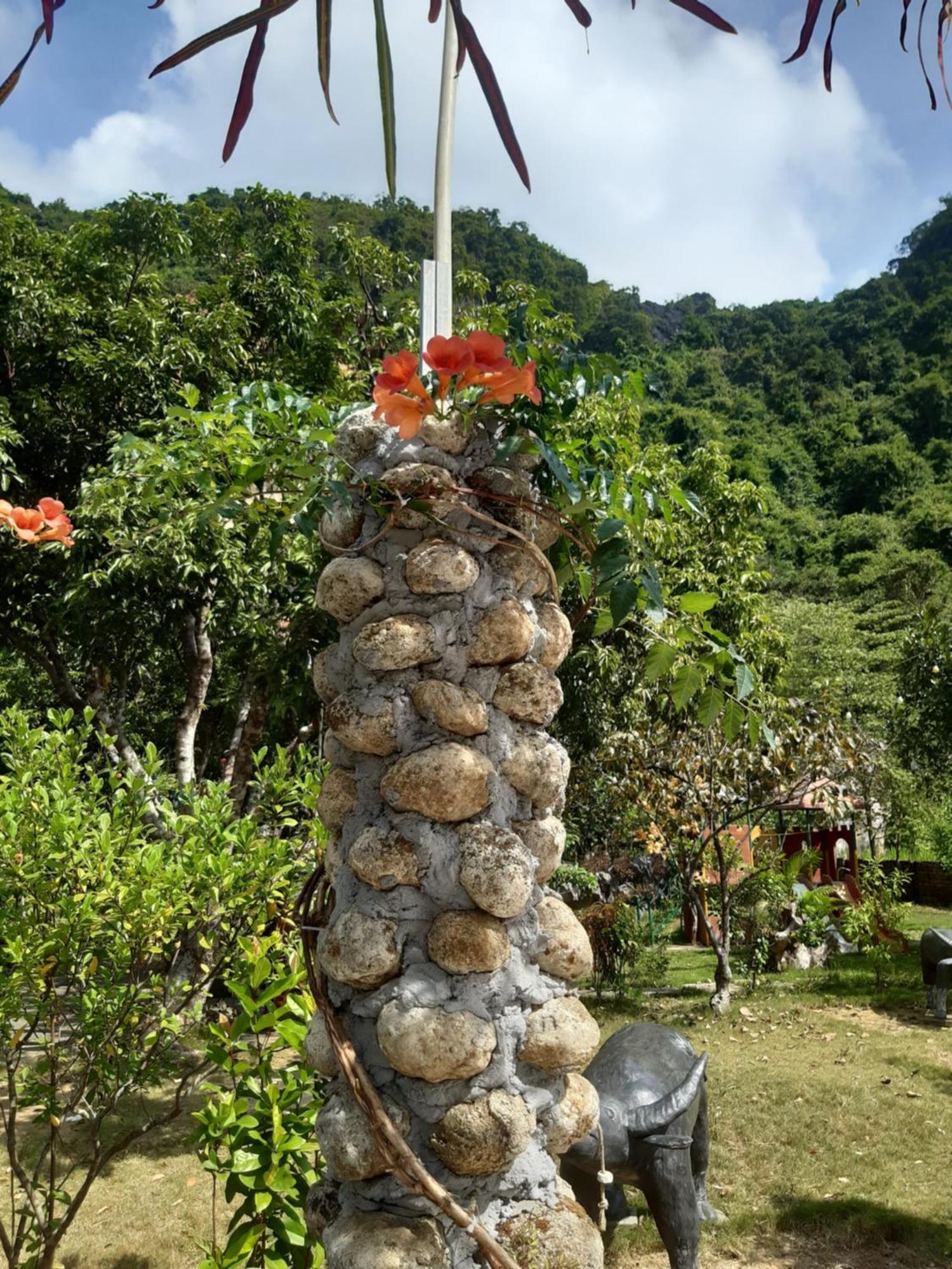 Xuan Dam Central Hills Cat Ba מראה חיצוני תמונה