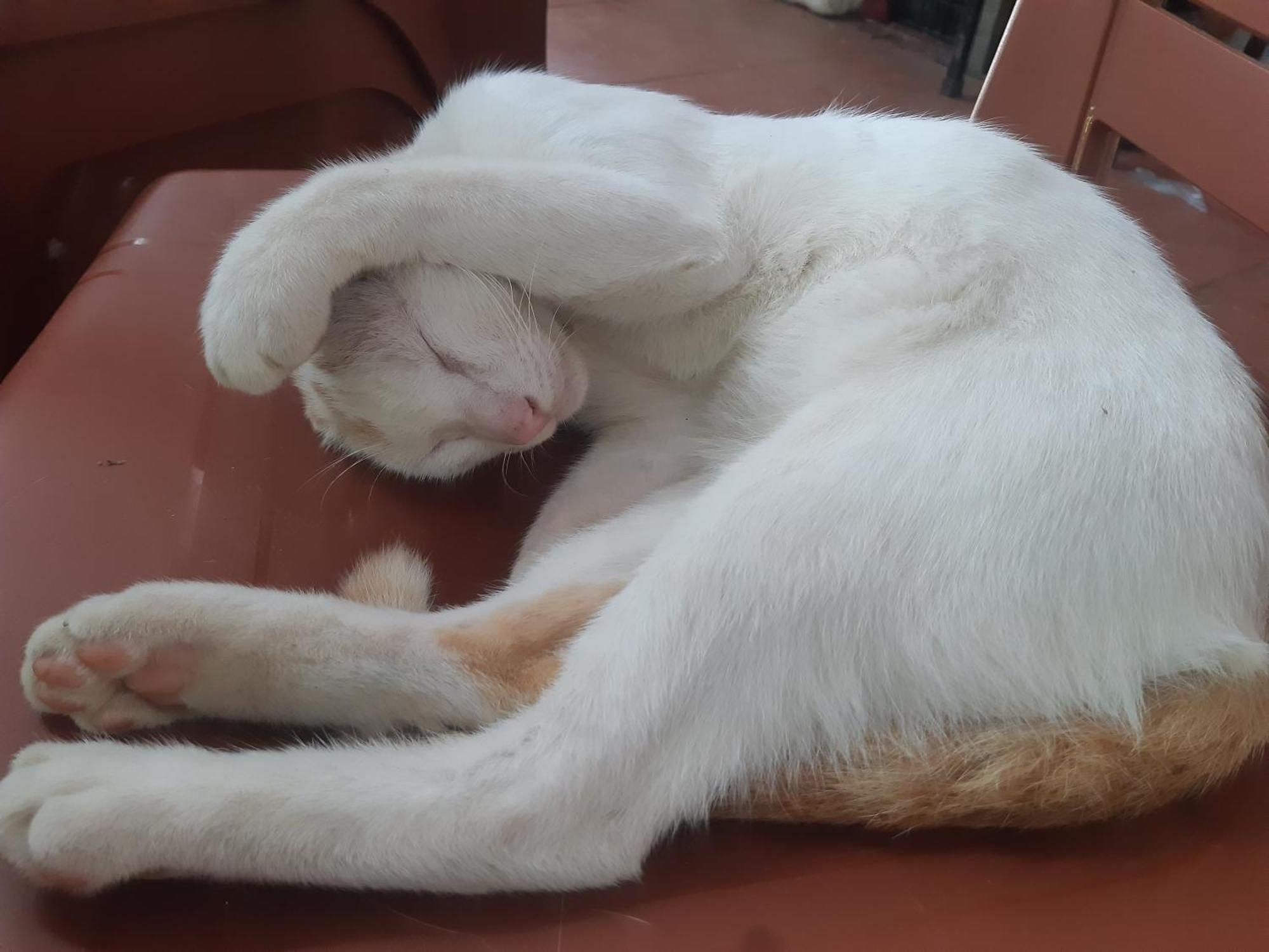 Xuan Dam Central Hills Cat Ba מראה חיצוני תמונה