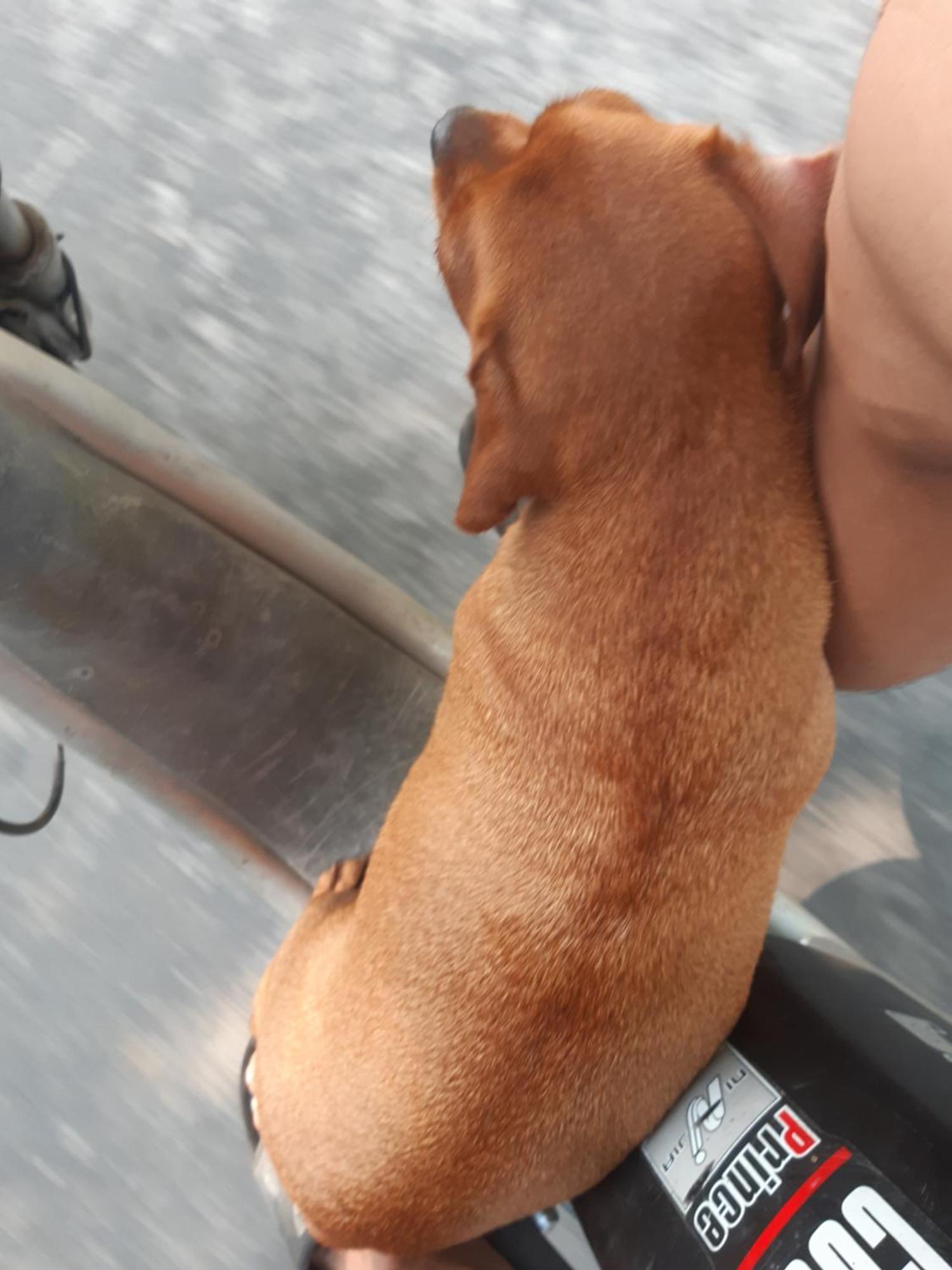 Xuan Dam Central Hills Cat Ba חדר תמונה